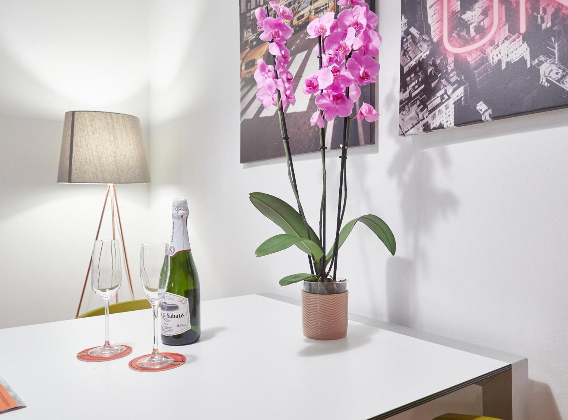 Sant Pau Barcelona Suites Zewnętrze zdjęcie